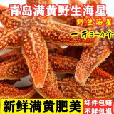海星鲜活海鲜水产冷冻活体满籽海五星新鲜活的大海星 大号海星 500g /4-6只 500克