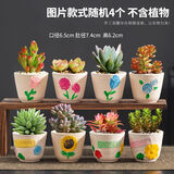 源老舍多肉拼盘盲盒花盆陶瓷家用法师蛋桃肉肉小盆高颜值陶土透气种植盆 手绘随机4个装 中等