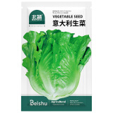 北蔬意大利生菜种子苗四季速生阳台种菜籽 意大利生菜种子3g约1800粒