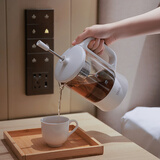 西摩小型便携煮茶器旅行壶家用出差办公室迷你蒸煮茶机玻璃养生壶 白色