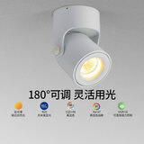 爱斯兰明装射灯LED客厅照画公司LOGO电视背景墙灯简约筒灯 明装-小号白色7W 暖光