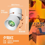 一极喜光嵌入式夕阳红日落灯氛围感玄关过道日不落射灯吸顶落日主播氛围灯 明装式白色-夕阳红7w