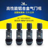 米其林（MICHELIN）铝合金真空胎气门嘴灰蓝色4只装气门芯盖气门芯帽（不支持胎压传感器车型）
