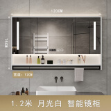 恒逍智能浴室镜柜挂墙式防雾卫生间镜子置物架单独收纳一体柜 120白智能镜柜