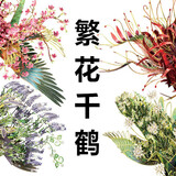 拼酷花轿3D立体金属拼图凤冠霞帔浪漫结婚礼物DIY手拼装模型十里红妆 繁花千鹤（4款）+组装工具