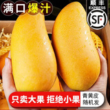 捌零鲜生物语（顺丰JD）正宗金煌芒果新鲜水果 特大果芒果 青皮芒果水果礼盒 5斤精品特大果（精选）