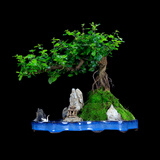 瀚林怡景小叶雀梅盆景山水假山植物树桩造型老桩办公室内客厅桌面绿植盆栽 山水石景（青釉） 雀梅