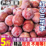 顾果鲜现货钱排红心三华李5斤新鲜应季孕妇水果银妃红心李子现摘现发 5斤 【大果】18-23个左右/斤