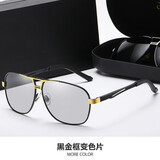 奥飘新款日夜两用钓鱼太阳镜男款墨镜2024开车司机眼镜 【黑金框变色片】日夜