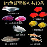 乐淘逸宠银龙鱼活体大中型热带观赏鱼鱼缸宠物淡水风水鱼发财鱼金龙鱼 1m鱼缸套餐A发顺丰