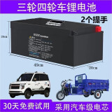 DQDZ适用 电动车锂电池60v100Ah大容量雷丁御捷专用72v电瓶 60v70Ah（磷酸铁锂电池）配10A充 大功率保护板+汽车级电芯