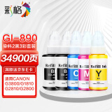 彩格适用佳能GI-890墨水G1800 G2800 G3800 G4800 G1810 G2810 3810 G4810喷墨连供打印机canon墨汁G3811彩色套装