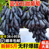 芬岚【顺丰隔日达】新鲜手指葡萄正宗蓝宝石美人无籽黑河北葡萄 净重1斤+防震葡萄袋 老农精选-顺丰配送上门