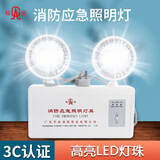 桂安消防应急灯 应急照明灯 商用酒店物业园区 LED充电式 安全出口楼道指示灯PA-ZFZD-E2W-DT1