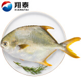 翔泰 冷冻海南大规格金鲳鱼550g1条 海鱼 生鲜鱼类 火锅 海鲜水产