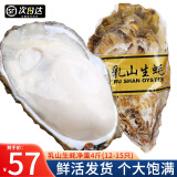 尚致生蚝鲜活特大海蛎子牡蛎带箱新鲜牡蛎肉 生鲜贝类 3XL净重4斤【12-15个】实惠装