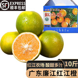 鑫果滋【顺丰】正宗广东廉江红橙 红江橙 红江农场薄皮橙子脐橙水果新鲜 甄选特级果 5斤【 彩箱装】