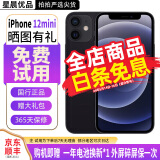 苹果12MlNl Apple iPhone12 MlNl国行5G 二手苹果手机 原12系列 非pro 苹果12MINI【黑色】 95新 64G【全网通+赠豪华大礼包】