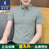 啄木鸟官方品牌短袖T恤男夏季POLO中青年上衣服休闲翻领舒适体恤上衣 A347-T153浅绿 2XL (145斤-160斤)