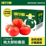 绿行者（GREER）桃太郎粉番茄 品牌果沙瓤生吃西红柿 自然熟新鲜水果蔬菜 桃太郎番茄 4.5斤