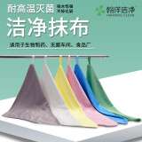 翰洋洁净（HANYANGCLEAN）无尘抹布5条装 不掉毛吸水毛巾 药厂GMP洁净区专用无毛抹布 30*30cm双层 白色