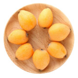 云南 高山枇杷1kg装 一级 单果20-30g 生鲜年货 新鲜水果