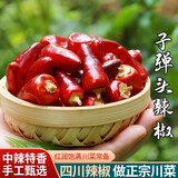 中辣超香 四川子弹头辣椒 小灯笼椒 干辣椒 干锅火锅调味料 100g袋装-更高性价比