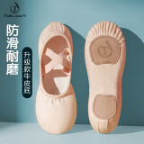 铁箭（TIEJIAN）舞蹈鞋女童免系带软底芭蕾猫爪成人儿童练功形体鞋中国舞鞋大码男 肉色 38/23cm