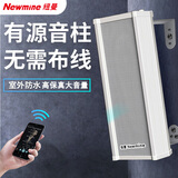 纽曼 (Newmine)有源室外防水音柱音响  户外学校店铺蓝牙背景音乐公共广播系统 G-3 （主机 20W）
