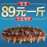 皇家麒麟 即食海参 即食大连刺参单个装 500g深海辽刺参海参干货水产礼盒 5A即食海参  13-20只/斤 两斤装