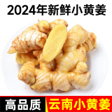 莲山九鲜2024年新鲜云南小黄姜当季生姜老姜批发沙姜蔬菜嫩姜仔姜 甄选小黄姜 1斤