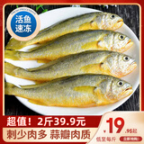 简鲜 东海冷冻活冻小黄花鱼海鲜黄鱼 海鲜水产 1000g  袋装