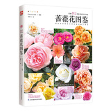 蔷薇花图鉴