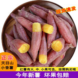 采鲜惠 新鲜红薯 临安天目山小香薯2.5kg中果 小番薯板栗薯