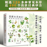 图解本草纲目极简养生速查全书   囊括本草功效、名家解读、使用禁忌、成品选鉴、传世妙方等内容