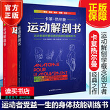 包邮 运动解剖书2+1运动者受益一生的身体技能训练书+运动者总要读透的身体技能解析书 卡莱-热尔曼运动解剖学图谱肌肉塑造健身书籍Y