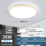 祎琳led吸顶灯圆形卧室灯简约现代大气客厅灯房间灯餐厅阳台过道灯具 双金直径50cm白光