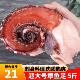 喜鲜德 特大 超大章鱼足 鱿鱼须 无冰净重  解冻即食 熟冻 脆口须 大号 5斤装 【11-15只】