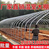 爱悦 养殖大棚骨架钢管鸡鸭鹅猪牛羊椭圆管暖棚种植连栋棚热镀锌大棚 椭圆管定制联系客服
