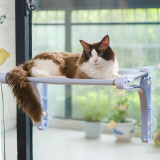 迪普尔 猫咪吊床窗户猫挂床吊床窗台玻璃挂窗大吸盘悬挂式猫窝阳台晒太阳神器 蓝色-约承重45斤