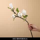 花艺赫家饰（HUA YI HE JIA SHI）高档PU手感新中式含苞玉兰花仿真花客厅餐桌装饰假花摆件摆设插花 手感含苞玉兰花 白色【2支】