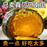 金百粟山东贝贝南瓜 小南瓜板栗味新鲜蔬菜宝宝粉糯香甜农家自种 贝贝南瓜 4.5斤 +推荐