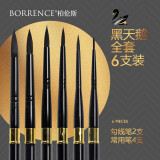 柏伦斯旅行装黑天鹅水彩笔黑杆圆松鼠毛画笔专业水彩颜料动物毛笔初学者绘画美术描边笔刷子 全套6支装