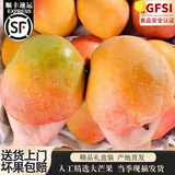 四叔公果蔬海南澳芒 大芒果新鲜水果三亚特大当季孕妇水果整箱 礼盒装 特大果 9.5-10斤（4-8个）