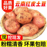 鲜福林 云南红皮黄心小土豆 新鲜时令蔬菜 小果3斤