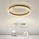 乐兴艺（Le Xing Yi）led吸顶灯轻奢创意北欧书房灯主卧房间灯具现代简约主人房卧室灯 A款直径50cm三色调光