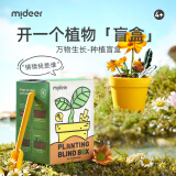 弥鹿（MiDeer）阳光房种植菜儿童植物观察科学实验儿童种植-种植盲盒