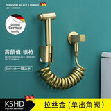 杜拉德（KSHD）德国KSHD全铜马桶喷枪伴侣卫生间冲洗器妇洗高压水枪增压龙头喷头 拉丝金（单出角阀）喷枪套装