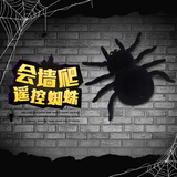 赟娅电动遥控动物玩具会走路的仿真毛绒蜘蛛迅猛龙六一儿童节生日礼物 爬墙遥控黑蜘蛛