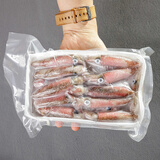 鲜可居东山岛海鲜 小管鱿鱼 野外灯光海捕鱿鱼 新鲜冷冻海兔子 笔管鱼 小小管【2x400g】 780g(净重)